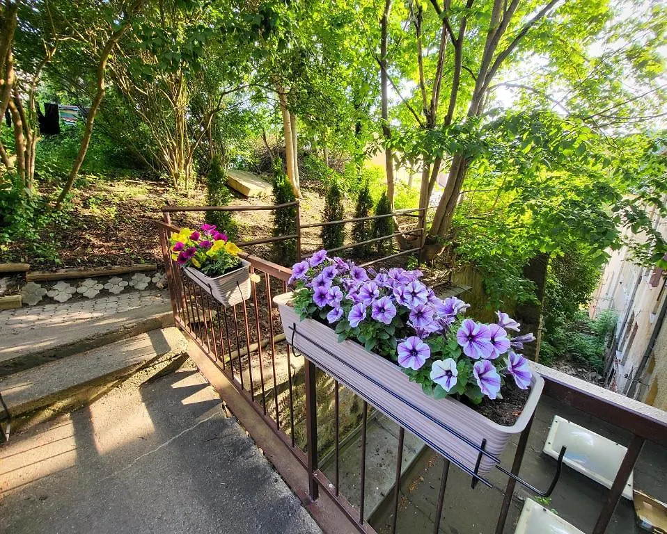 Excellent Apartments In Spa City Center 5 Min Walk From The Colonnade Karlsbad